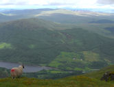 Looking east towards Glen Artney from Ben Ledi's summit