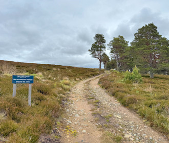 Roadside, the track heading to Glen Fenzie