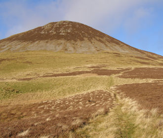 Tinto Hill
